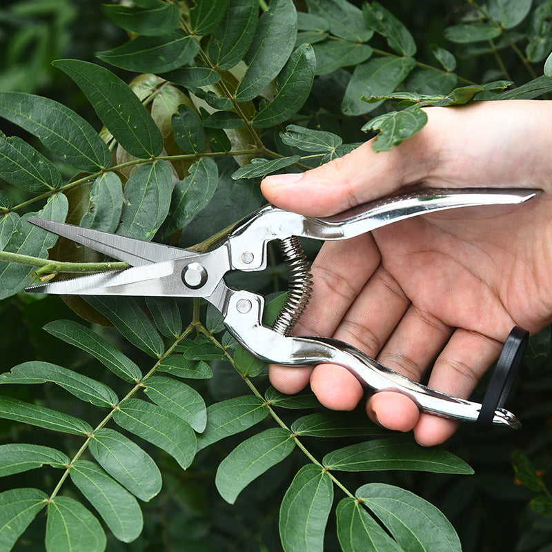 Garden Pruning Shears, Stainless Steel, 7.9 in, Silver