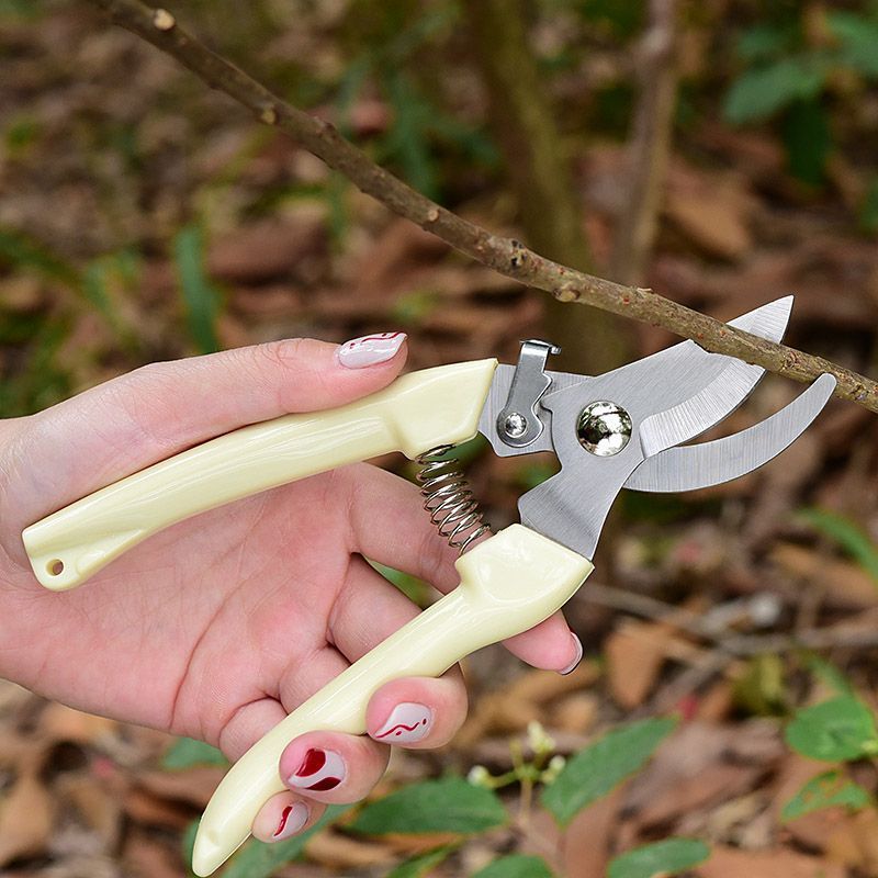 Stainless Steel Garden Pruning Shears, 7.9 in, Ivory