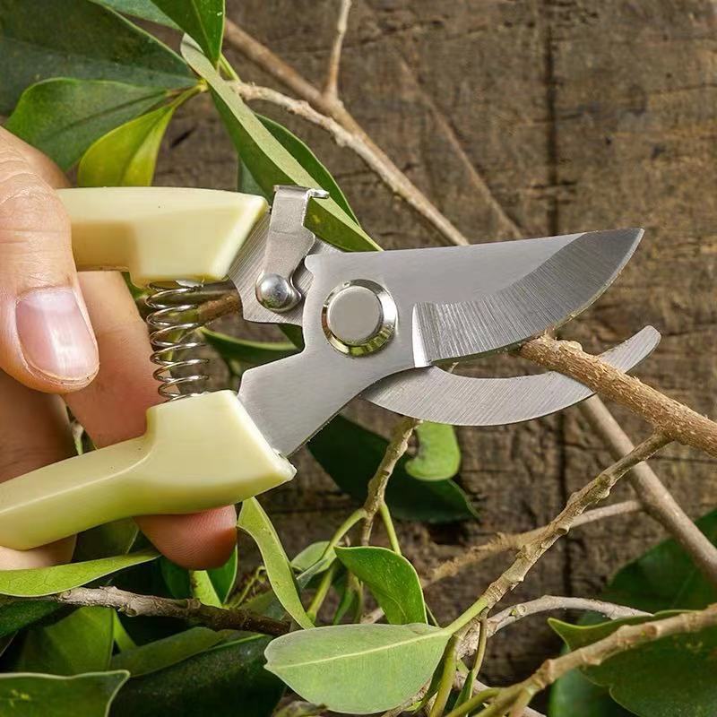Stainless Steel Garden Pruning Shears, 7.9 in, Ivory