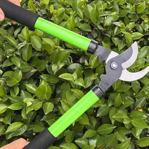 Garden Branch Loppers, 14.2 in, Green & Black